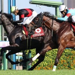 【大谷の日曜競馬コラム・中山金杯】