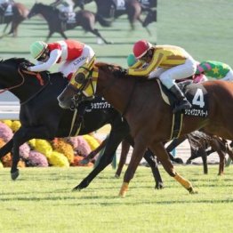 【武田の日曜競馬コラム・中山金杯】