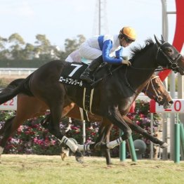 【マリナの月曜競馬コラム・万葉Ｓ】