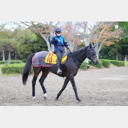 荻野極との相性の良さも後押し