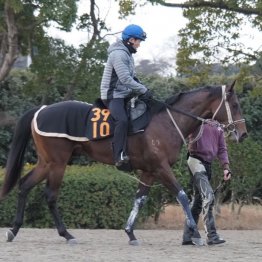 【木津の月曜競馬コラム・中山５Ｒ】