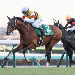 【中山金杯】４番人気アルナシームが差し切って３連単は９万３７４０円のお年玉馬券