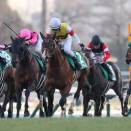 中山金杯はロベルト系、今開催の中京芝もロベルト系!?