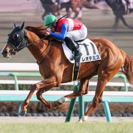 中山の芝コースの使い方の変化に注目