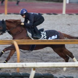 【シンザン記念】アルテヴェローチェ時計以上に軽快な動き