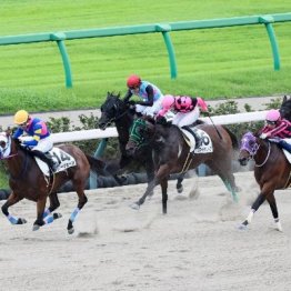 【飯島の土曜競馬コラム・中山８Ｒ】