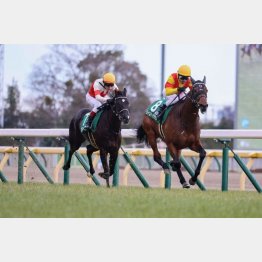 共同通信杯③着の素質馬