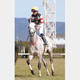 荒れ馬場を味方につける