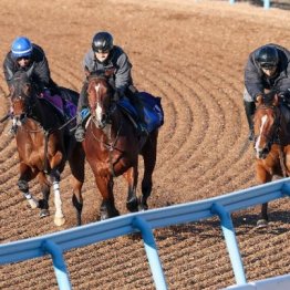 【木津の日曜競馬コラム・フェアリーＳ】