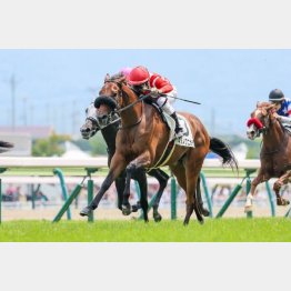 福島で新馬勝ち