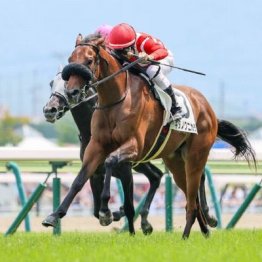 【橘の日曜競馬コラム・フェアリーＳ】