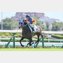 新馬戦のラストは10秒８