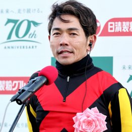 【フェアリーＳ】古馬とのハードトレで急上昇　エリカエクスプレス２連勝で重賞Ｖ