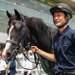 【シンザン記念】マイネルチケット鉄板　前走糧に先行抜け出し