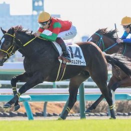 【飯島の月曜競馬コラム・中山７R】