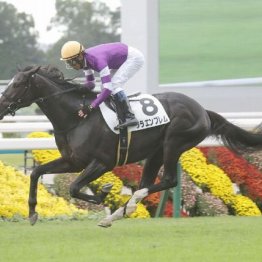 【大谷の月曜競馬コラム・シンザン記念】