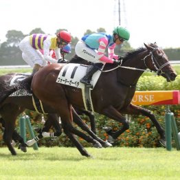 【橘の月曜競馬コラム・シンザン記念】