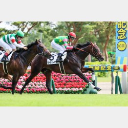 新馬戦は快勝