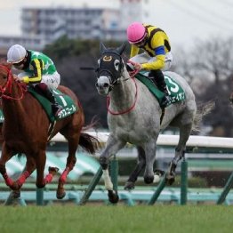 【レスキュー隊の月曜競馬コラム・中山12Ｒ】