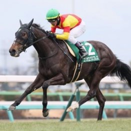 【フェアリーＳ】エリカエクスプレスが新馬→重賞を連勝