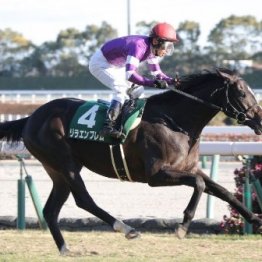 【シンザン記念】リラエンブレム、２連勝で初重賞Ｖ