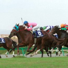 〈10８〉現役ではタガノビューティ、かつてはハクサンムーンを育てた西園正都調教師（３）