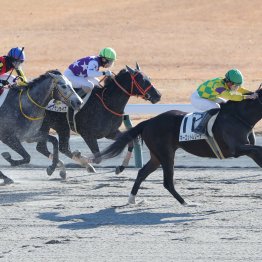 【本紙が選んだ新年の出来事、珍事トップ３】３連単１００万馬券　驚異的なハイペースで量産中