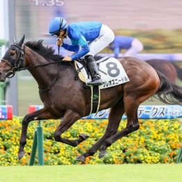 【新居の土曜競馬コラム・菜の花賞】