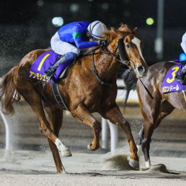 【亀井の土曜競馬コラム・濃尾特別】