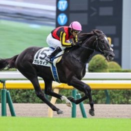 【飯島の日曜競馬コラム・中山３Ｒ】