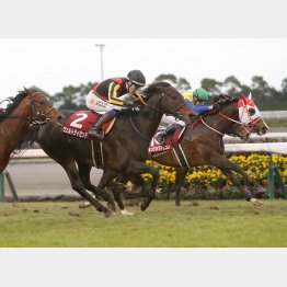 同舞台で行われた一昨年の勝ち馬