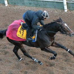 【小倉牝馬Ｓ】クイーンズウォーク堂々の主役