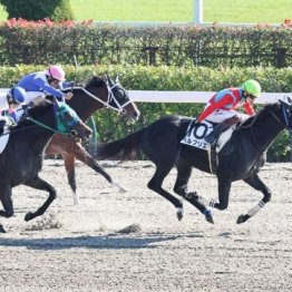 【飯島の土曜競馬コラム・中京８Ｒ】	