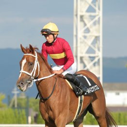 【亀井の土曜競馬コラム・小倉牝馬Ｓ】	