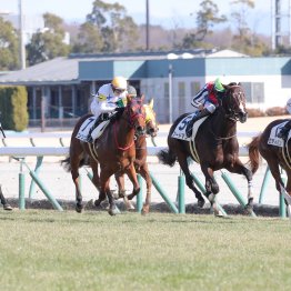 【新谷の土曜競馬コラム・萌黄賞】