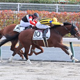 【大阪本紙・弘中の土曜中京10Ｒ】