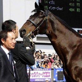 そうだ京都競馬場へ行こう！　開場１００年のアニバーサリー企画が目白押し