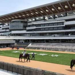 そうだ京都競馬場へ行こう！　開場１００年のアニバーサリー企画が目白押し