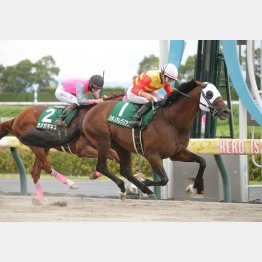 重賞惜敗②着だった松山に出が戻る