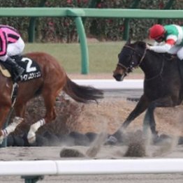 【飯島の日曜競馬コラム・江戸川Ｓ】