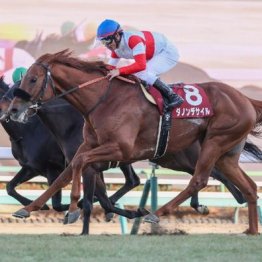 【アメリカＪＣＣ】ダービー馬ダノンデサイルが貫録勝ち