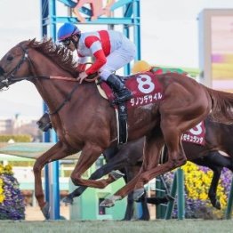 【アメリカＪＣＣ】ダービー馬ダノンデサイル貫禄勝ち