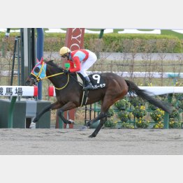 前走は５馬身差の圧勝