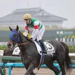 【新谷の土曜競馬コラム・舞鶴Ｓ】