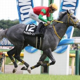 【市川の土曜競馬コラム・白富士Ｓ】