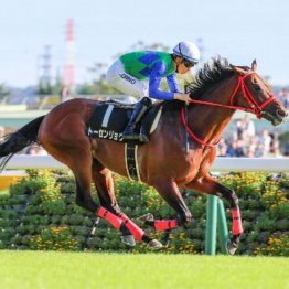 【武田の土曜競馬コラム・白富士Ｓ】