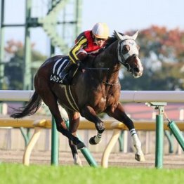 【橘の土曜競馬コラム・白富士Ｓ】