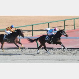 恵那特別までノンストップの３連勝