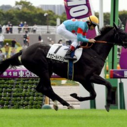 【レスキュー隊の日曜競馬コラム・東京12Ｒ】