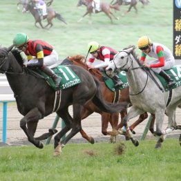 【シルクロードＳ】川又エンシンフェンサーが人馬ともに重賞初制覇